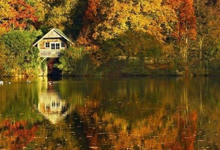 Winkworth Arboretum, United Kingdom